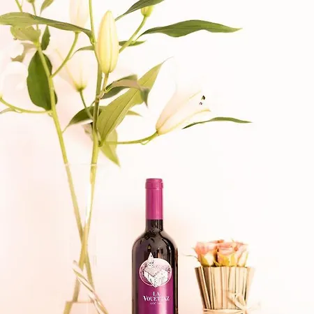 Castel De Daval Frühstückspension Sierre