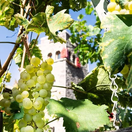 فندق مبيت وإفطار Castel De Daval سييرا