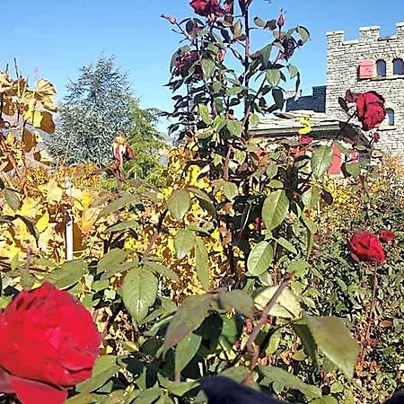 Castel De Daval 4* Sierre