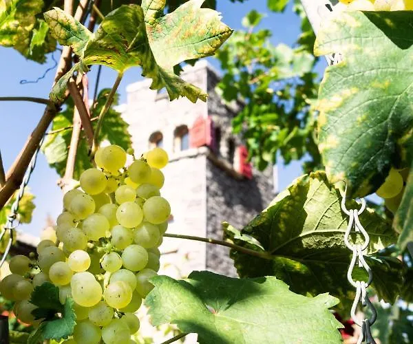 Bed & Breakfast Castel De Daval Sierre