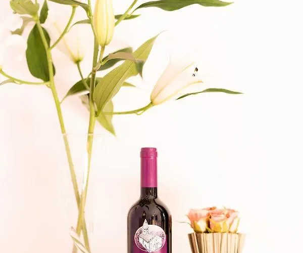 Castel De Daval Bed and Breakfast Σιέρε